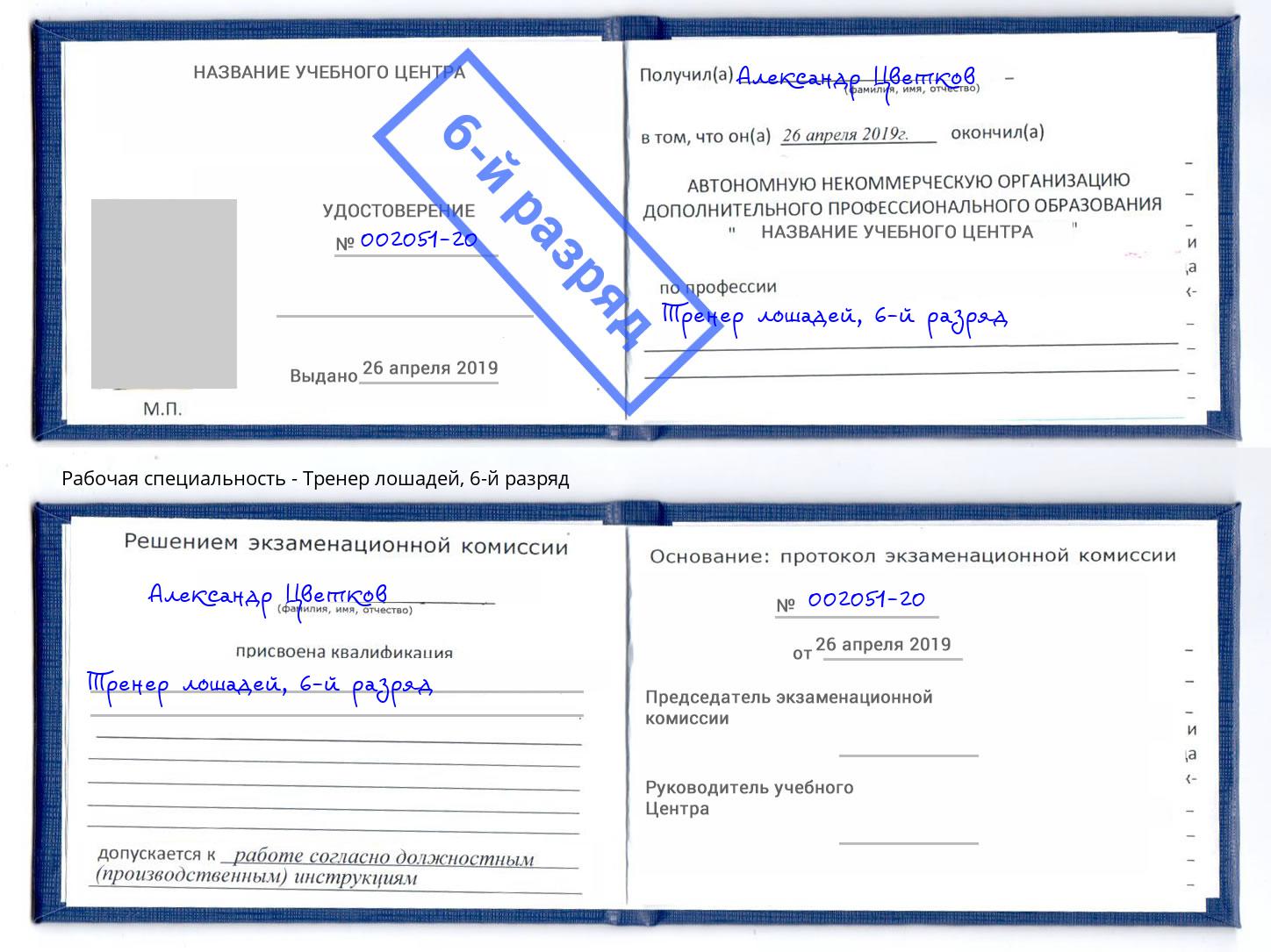 корочка 6-й разряд Тренер лошадей Кинешма