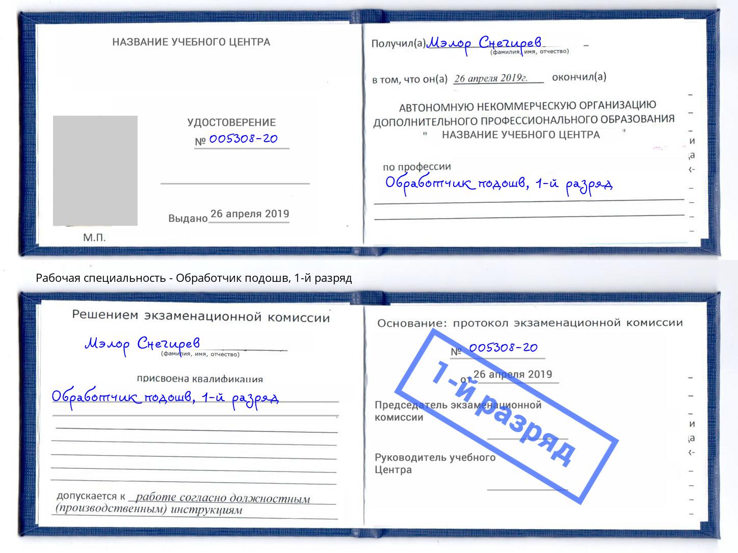 корочка 1-й разряд Обработчик подошв Кинешма